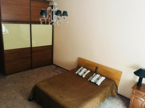 Apartment in the city centre